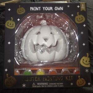 Paint Your Own Pumpkin Plaster Painting Kit - White